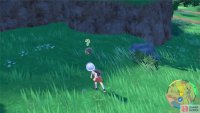 You can battle wild Pokémon by touching them or throwing a Pokémon at them. (Credit: Serebii)
