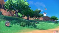 Wild Pokémon roam freely in the Paldea region. (Credit: The Pokémon Company)