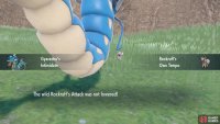 Search for a wild Rockruff with the Own Tempo ability.