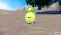 Smoliv isn’t the fiercest creature around… (Credit: The Pokémon Company)