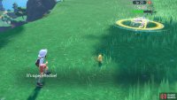These are super-effective against the Flying-type Swablu! (Credit: The Pokémon Company)