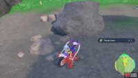 Find the Thunderstone behind a rock.