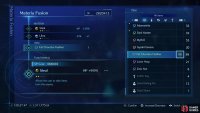 so you’ll need to use unleveled, low-tier materia and fusion items if you want to add stats.
