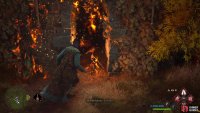 burn the leaves away to get to the first essence