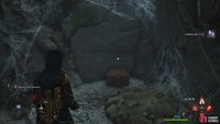 to find the Collection Chest hiding behind some rocks.