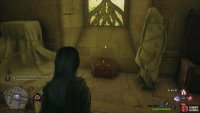 to find the Collection Chest locked behind an Animal Puzzle Door.