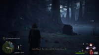 The Absconder Encounter quest requires Wizards and Witches to delve deep into the Forbidden Forrest. We Took the Floo Light to Jackdaw’s Tomb and followed the quest tracker. 