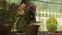 Replant the Mandrake into it’s bigger and better pot by hitting down on the right thumbstick
