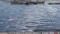 Cast your line near a fish’s shadow in the water