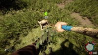 You can get hides by skinning Deer, and Moose.