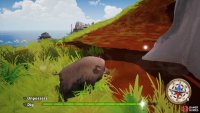 Use an animal to dig up the chest at the marked spot