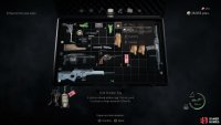 make sure you equip and not use the egg.