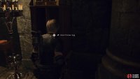 return to the Throne Room and use the Cubic Device to obtain a Gold Chicken Egg