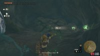 Use a Bomb Flower to break the rocks on the ground.
