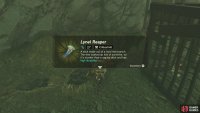 don’t forget to loot the chest with a useful Lynel Reaper.