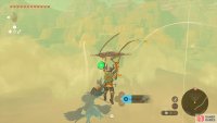 glide north from Gerudo Town’s Shrine