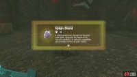 A chest will appear containing the Hylian Shield!