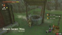 You will have to journey to Zelda’s Secret Well to begin this side quest.