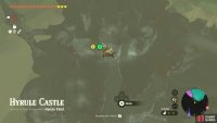 Glide down after launching from the Lookout Landing Skyview Tower to reach Hyrule Castle.