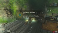 Obtaining Link’s Breath of The Wild hair band.