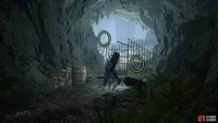 Pass through the gate by holding out your lamp.
