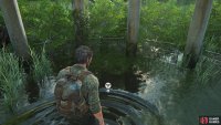 Collect the Firefly Pendant from the floor underneath the gazebo