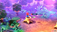 In the room of stumps, enter the lone stump at the back.