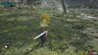 Sneak up and press Triangle to catch Piko, unlocking your Chocobo!