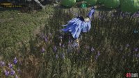From the barren patch, lure Selena down to the grass where you started, then sneak up on her to wrangle yourself a new chocobo!