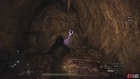 Destroy the boulder to unveil a new path.
