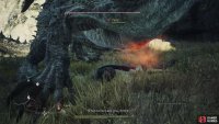 You should aim to hit the Drake’s heart to inflict more damage.