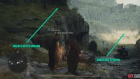 When you reach the Ballista, take the grassy path to your left and follow it to the end.