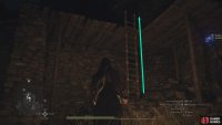 Continue north, defeat the Cyclops, and climb the next ladder to the west.