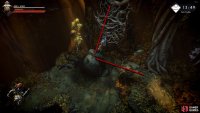 To reach the vines, jump from the platform to the right over to the rock and onto the vines.
