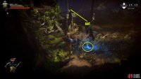 Loot the blue orb inside the rotten tree and exit the floor.