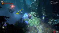 Either use a few ranged attacks or jump over to the Witch and knock them into the water.