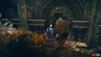 Go around to the southern side of the ruins to find a small hole you can go through.