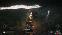 You’ll need to complete a number of tasks such as reaching the secret area in Chapter 4 by defeating the Venom Daoist.