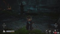 This will lead you to the Pool of Shattered Jade Shrine.