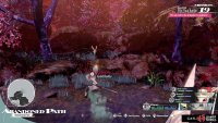 There is a Gold Beetle found in the northern part of the forest.