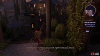 Take the northern zipline from the Cantori Diamond Beacon.