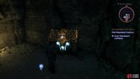 Grab a unique chest near the wisp,