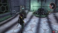 Behind the gate, you’ll find two chest, one on either side of the room.