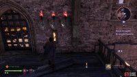 You can now pull the lever in the room above to access the first Warden Lock.