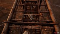 After the scene, walk toward the end of the crane and search the floor for Nestor’s stash.