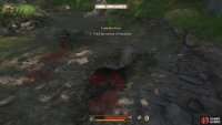 You’ll find the infection by going behind the barn and following the stream northeast.