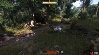 Deal with the wolves before you start searching the area.