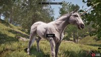 and approach the unicorn unarmed - you can ride it off cliffs, contrive some other way to kill it, or just hack it apart with spells and weapons.