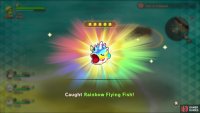 to find the shore where you can fish for the Rainbow Flying Fish.