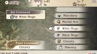 Here, Tiz is a Knight so by default has the Knight’s Chivalry commands. However you can add one more set of commands from another job, such as White Magic.